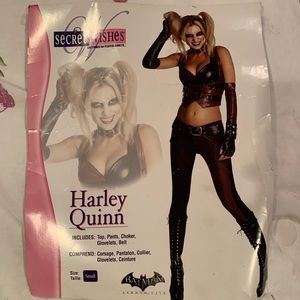 Secret Wishes Harley Quinn Costume - Size Small